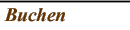 Buchen